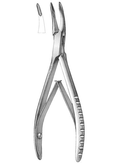 FRIEDMAN 5 ��
