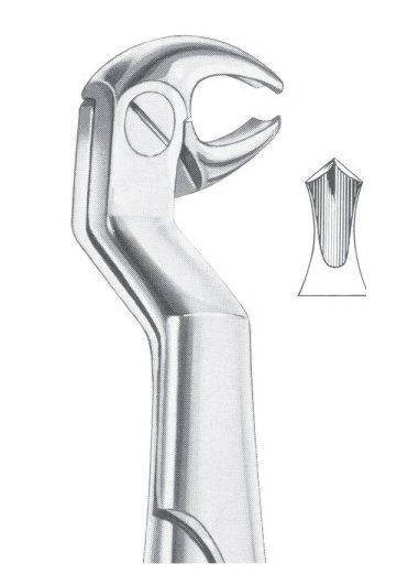ROUTURIER (Fig. 213) ( 22 ½ R) lower molars and wisdom right