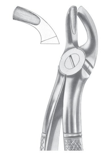 Fig. 19 upper third molars