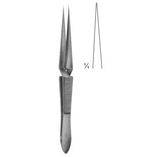 FORCEP