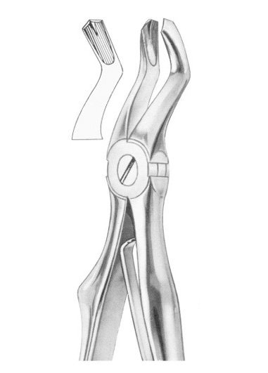KLEIN (Fig. 220) upper molars