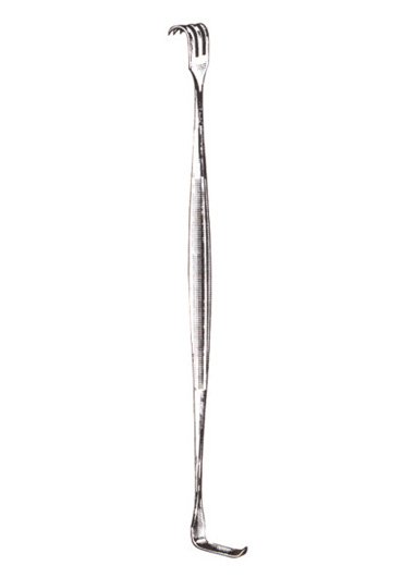 SENN 3 sharp prongs 6 3/8